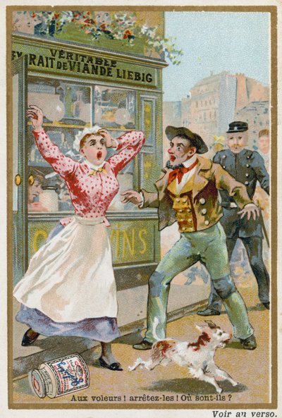 Thieves! Stop them! Where are they? by European School